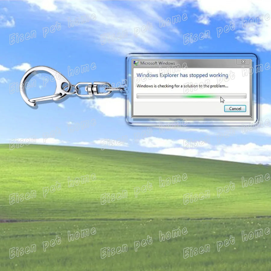 Window's XP Keychains